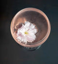 bildschirmfoto